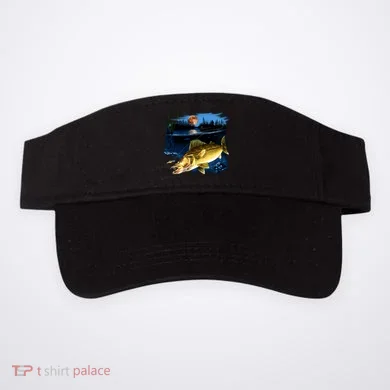 Visor