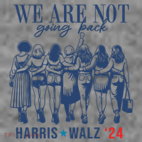 We Are Not Going Back Kamala Harris Waltz 24 Eleciton Toddler Hoodie thumb 2