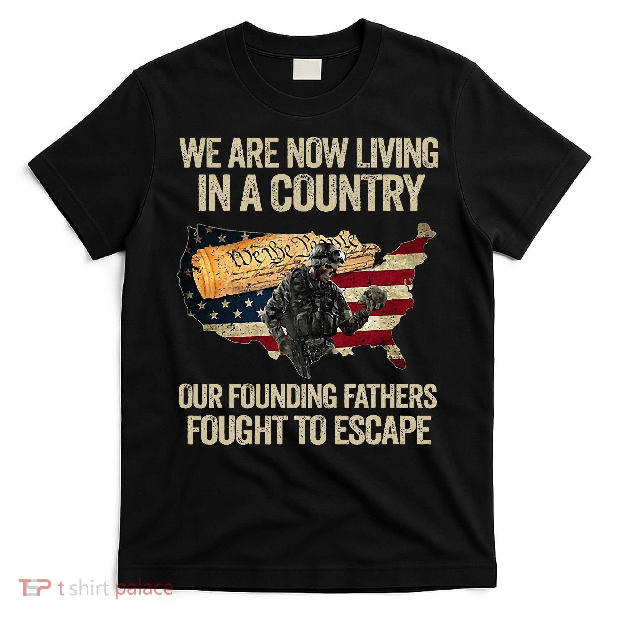 We Are Now Living In A Country Our Founding Fathers Fought T-Shirt