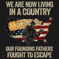 We Are Now Living In A Country Our Founding Fathers Fought T-Shirt thumb 7