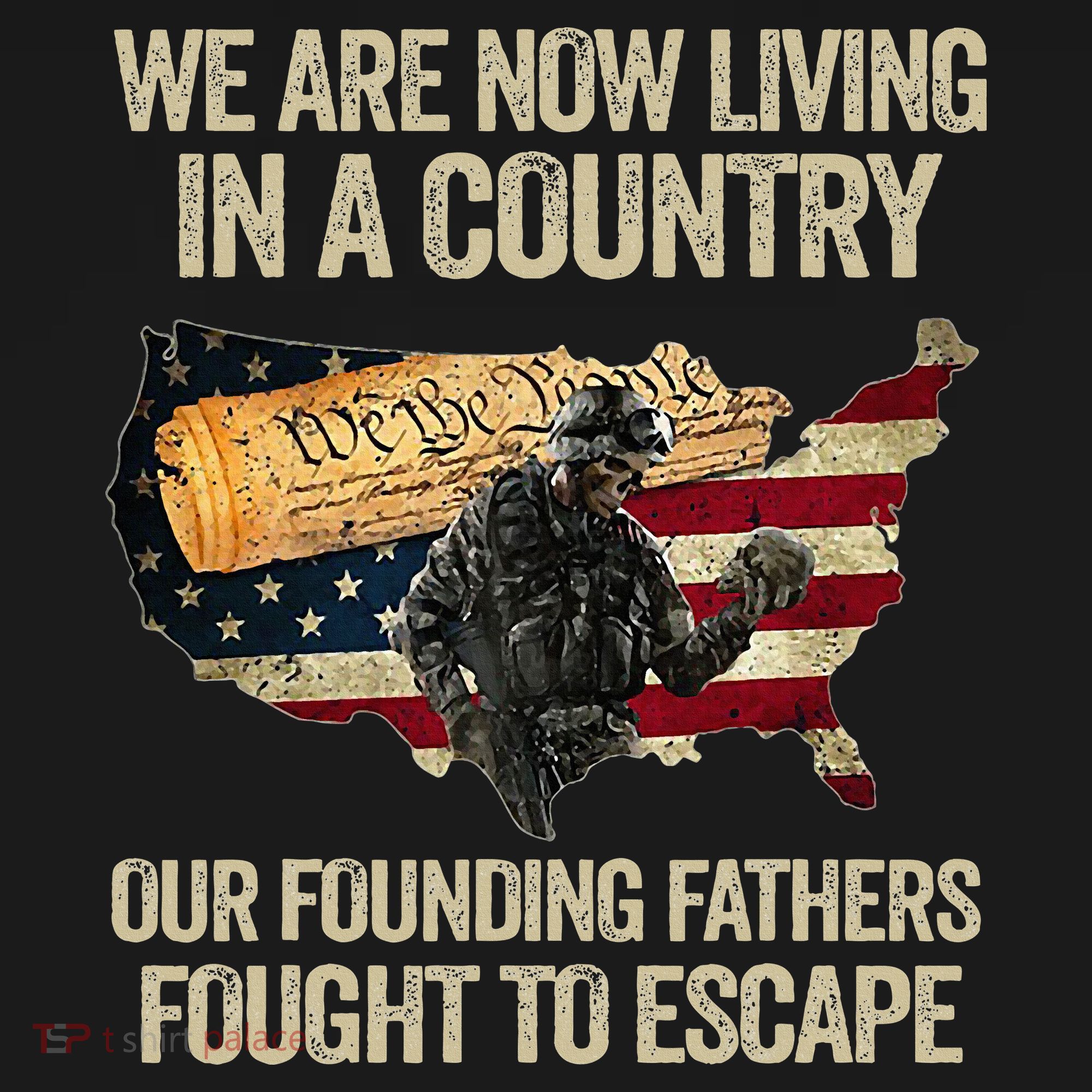 We Are Now Living In A Country Our Founding Fathers Fought Women's Hoodie