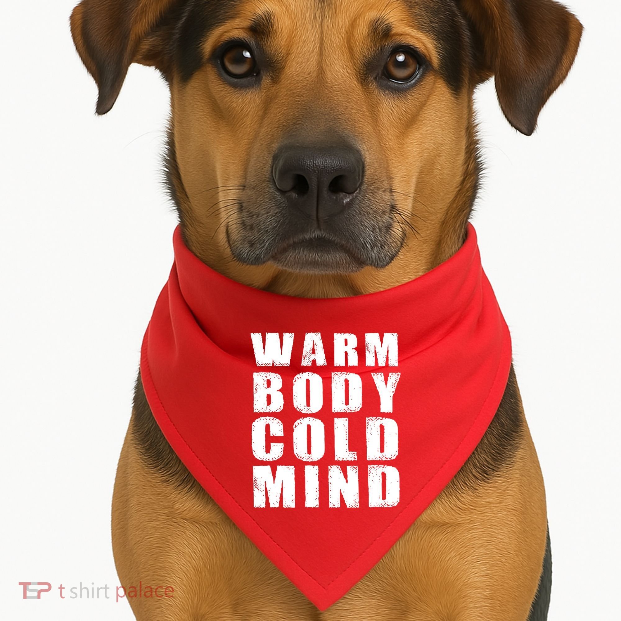 Warm Body Cold Mind Baseball Spring Training Quote USA-Made Doggie Bandana