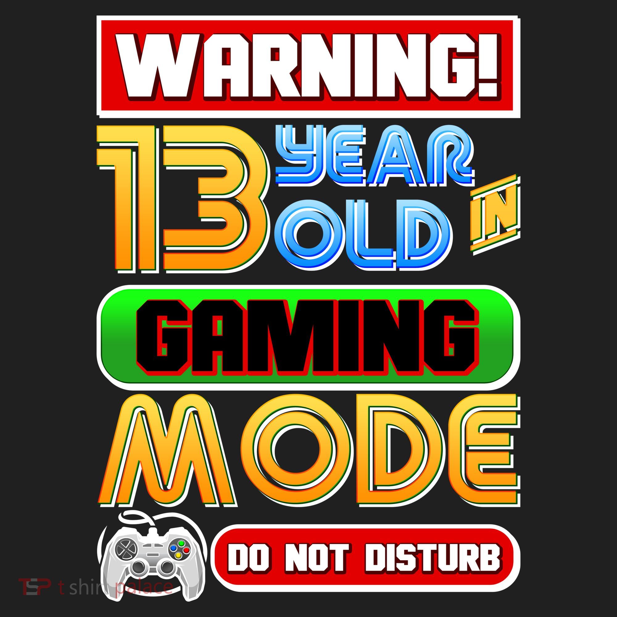 Warning 13 Year Old In Gaming Mode Birthday Tumbler