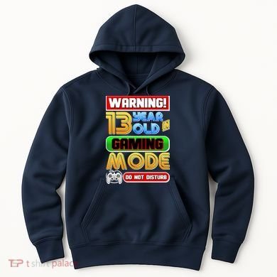 Warning 13 Year Old In Gaming Mode Birthday Hoodie
