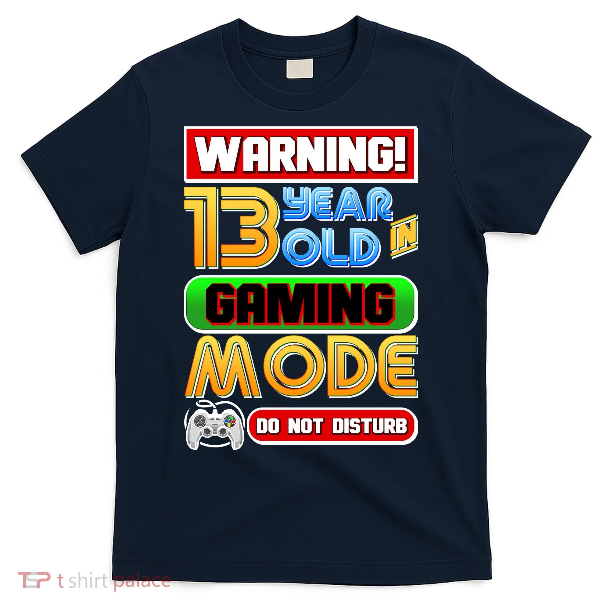 Warning 13 Year Old In Gaming Mode Birthday T-Shirt