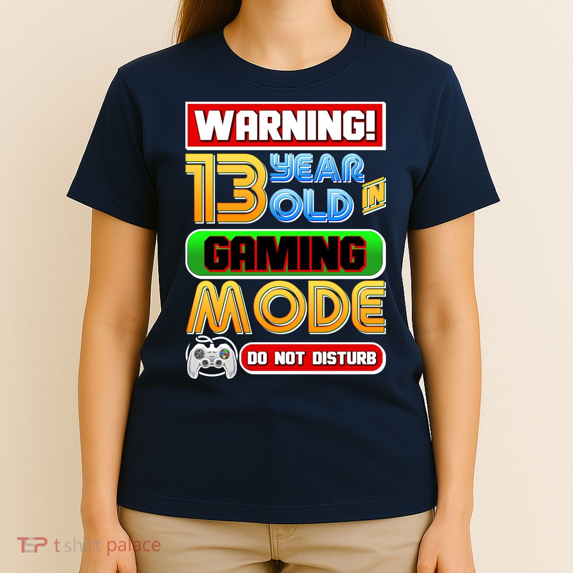 Warning 13 Year Old In Gaming Mode Birthday T-Shirt