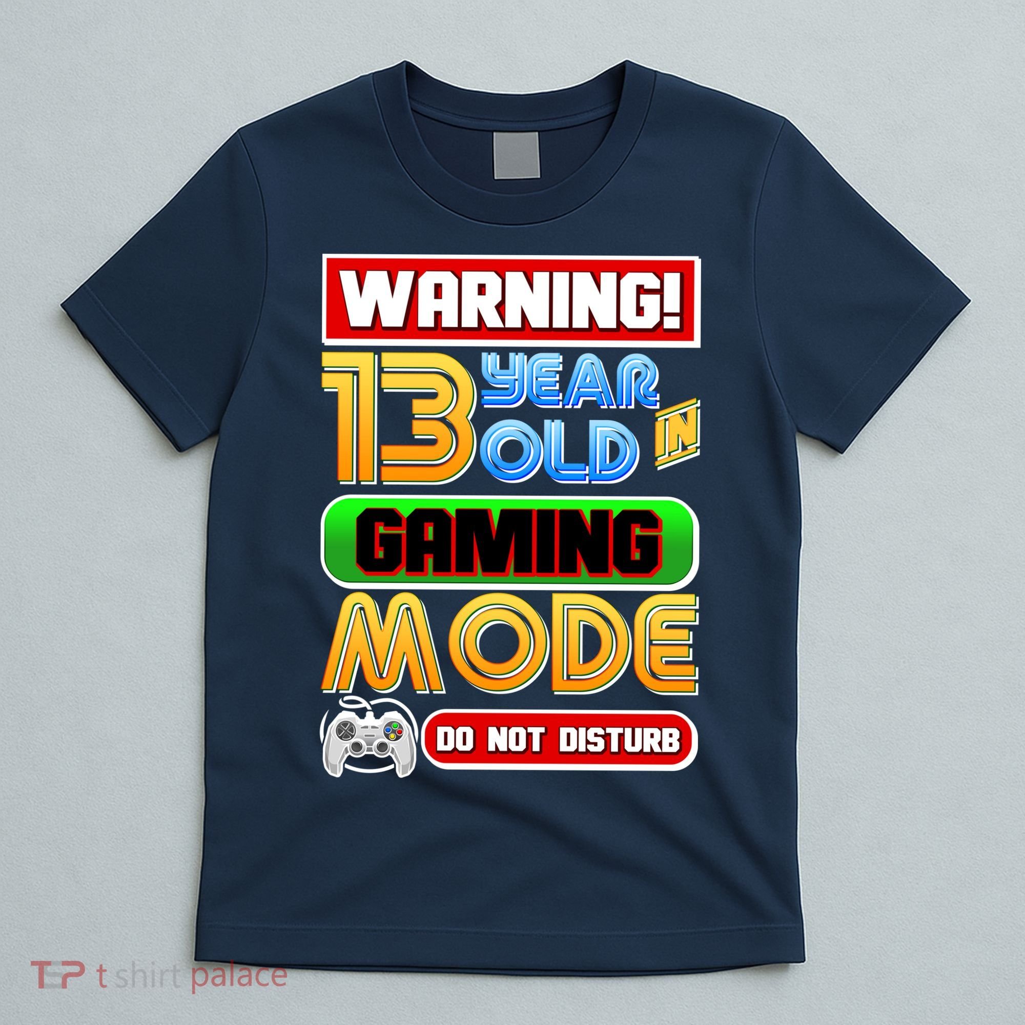 Warning 13 Year Old In Gaming Mode Birthday T-Shirt