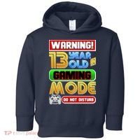 Warning 13 Year Old In Gaming Mode Birthday Toddler Hoodie thumb 0