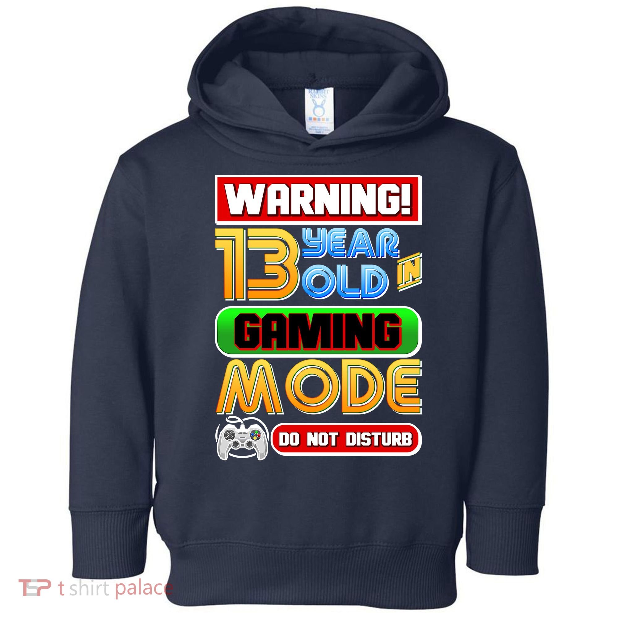 Warning 13 Year Old In Gaming Mode Birthday Toddler Hoodie