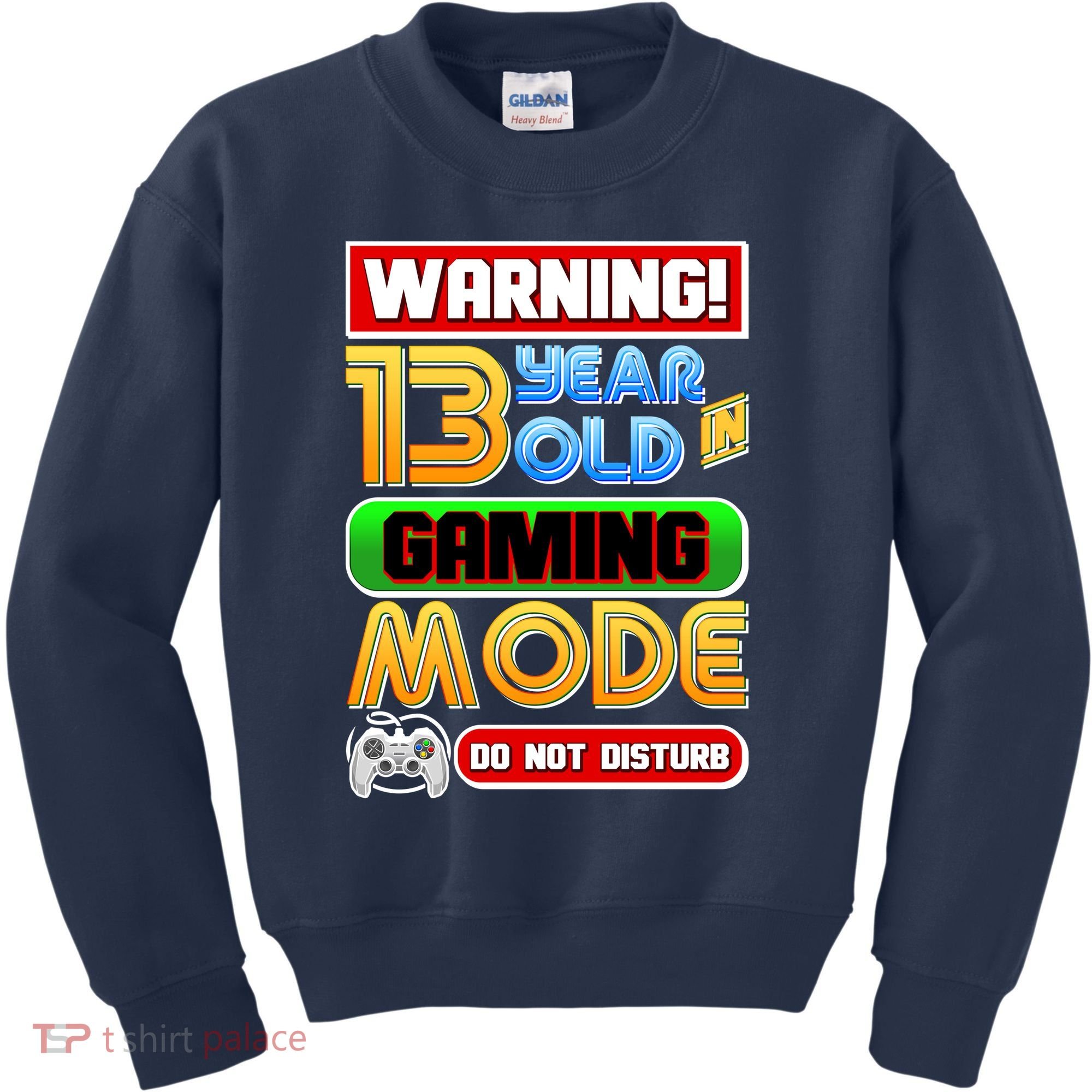 Warning 13 Year Old In Gaming Mode Birthday Kids Sweatshirt