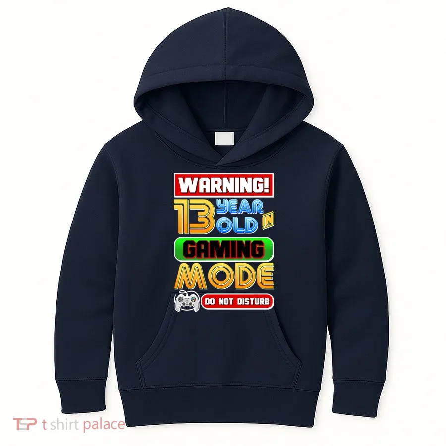 Warning 13 Year Old In Gaming Mode Birthday Kids Hoodie