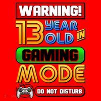 Warning 13 Year Old In Gaming Mode Birthday Santa Hat thumb 1