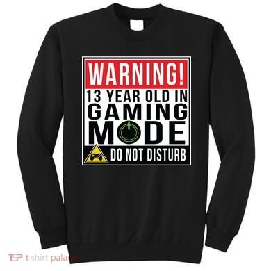 Warning 13 Year Old in Gaming Mode Teenager Sweatshirt