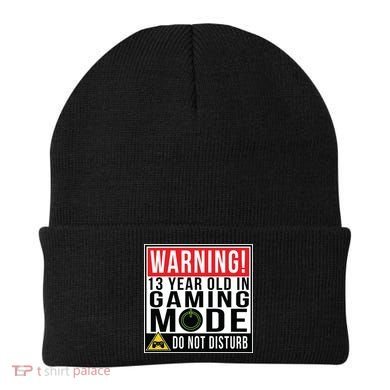 Warning 13 Year Old in Gaming Mode Teenager Beanie