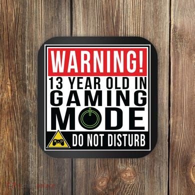 Warning 13 Year Old in Gaming Mode Teenager Coaster