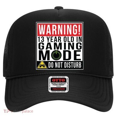 Warning 13 Year Old in Gaming Mode Teenager Hat