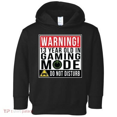 Warning 13 Year Old in Gaming Mode Teenager Toddler Hoodie