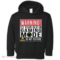 Warning 13 Year Old in Gaming Mode Teenager Toddler Hoodie thumb 0