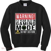 Warning 13 Year Old in Gaming Mode Teenager Kids Sweatshirt thumb 0