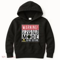 Warning 13 Year Old in Gaming Mode Teenager Kids Hoodie thumb 0