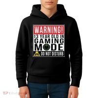 Warning 13 Year Old in Gaming Mode Teenager Kids Hoodie thumb 4
