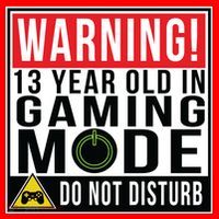 Warning 13 Year Old in Gaming Mode Teenager Santa Hat thumb 1