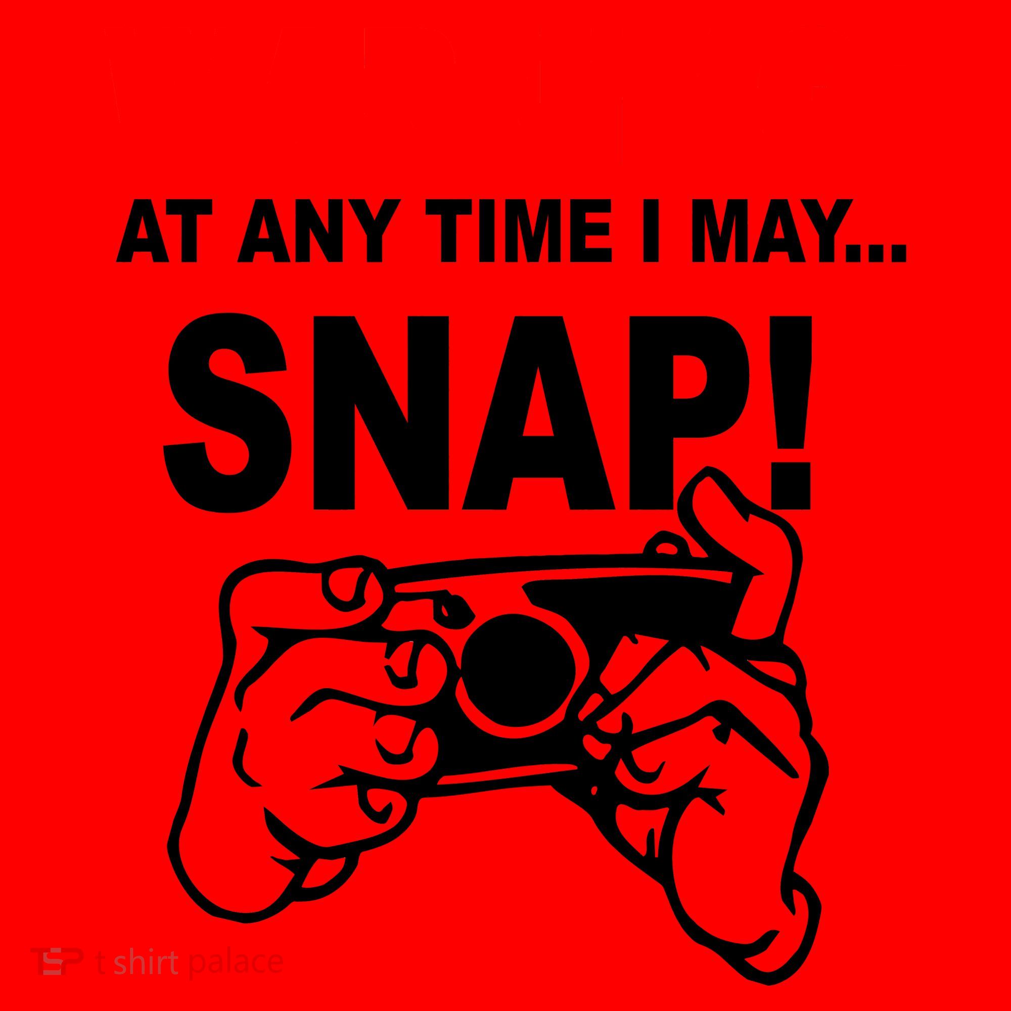 Warning At Any Time I May SNAP Santa Hat