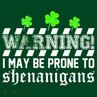 Warning I May be Prone to Shenanigans Women's T-Shirt thumb 6