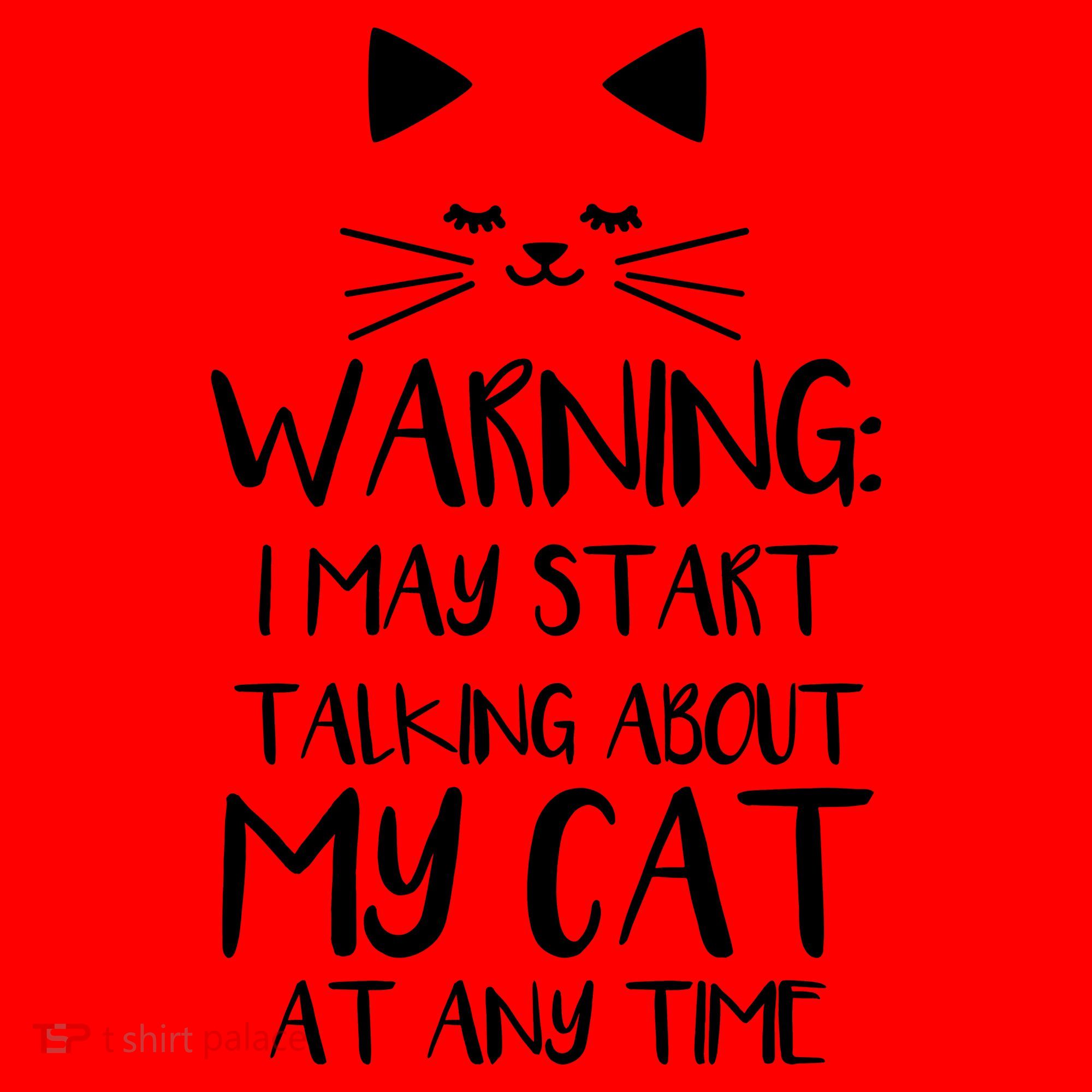 Warning I May Start Talking About My Cat Santa Hat