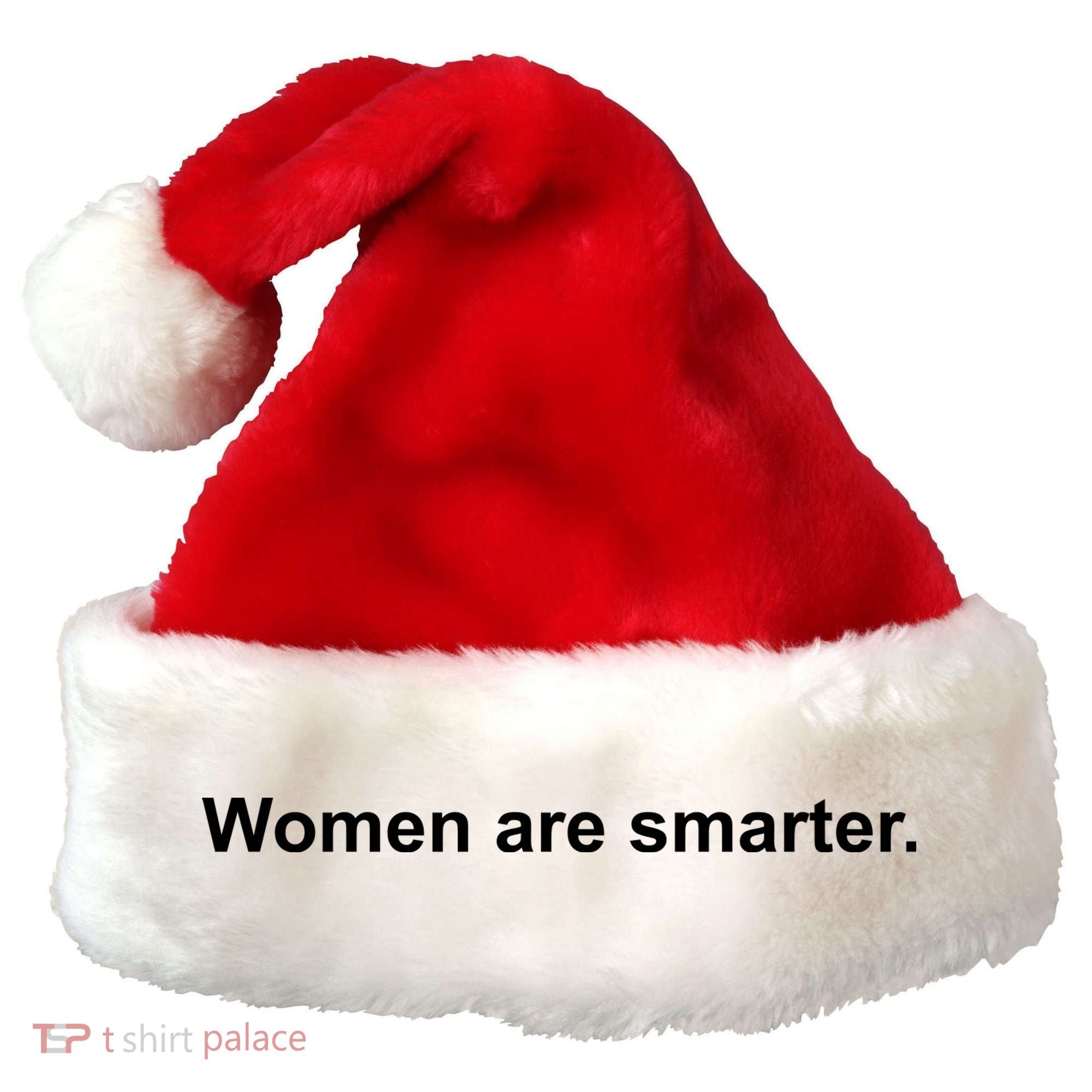 Women Are Smarter Santa Hat