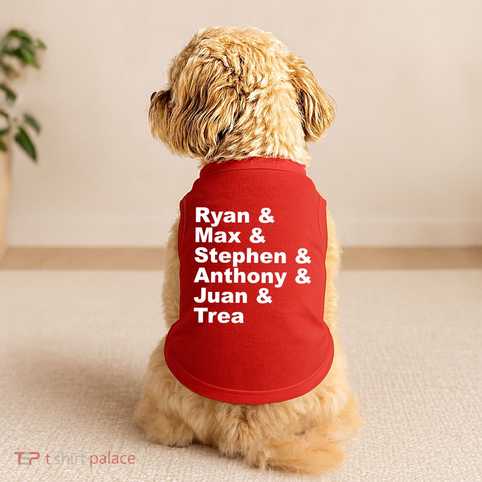 Washington DC Baseball Fan Series Players Doggie Tank