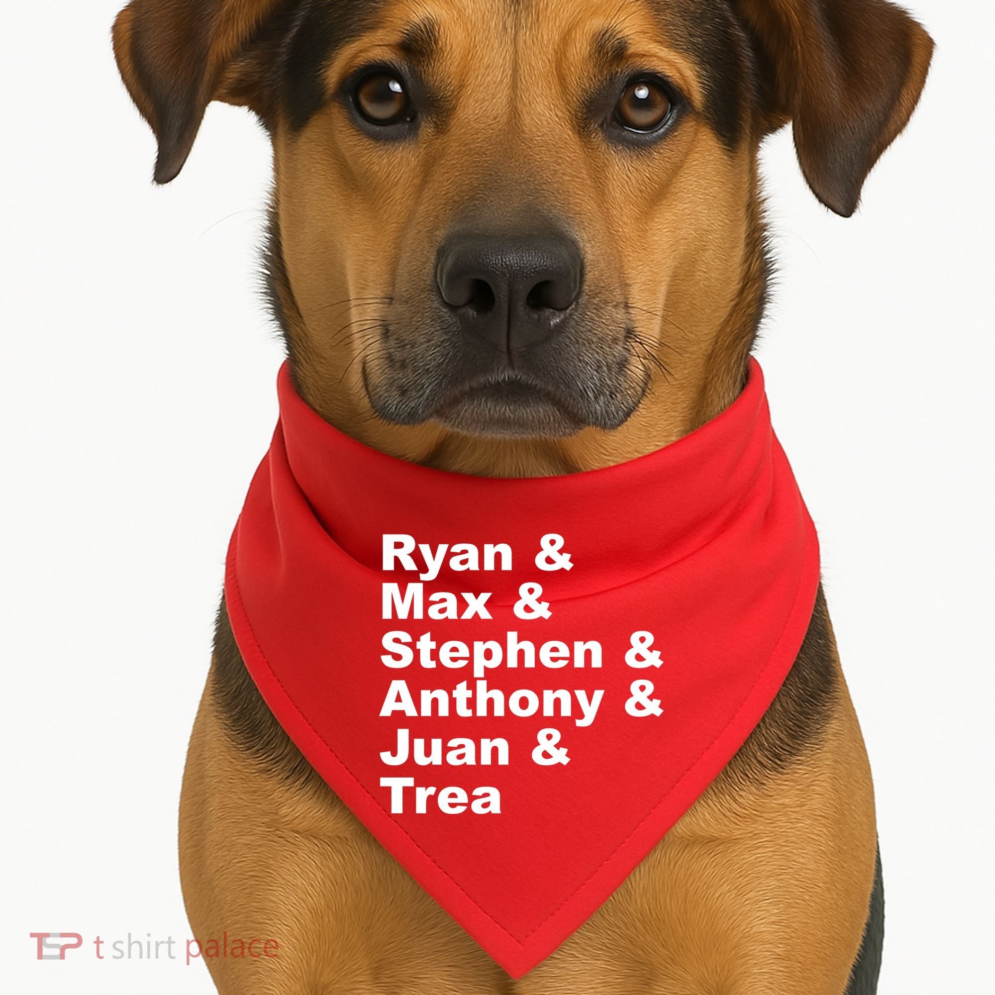 Washington DC Baseball Fan Series Players USA-Made Doggie Bandana