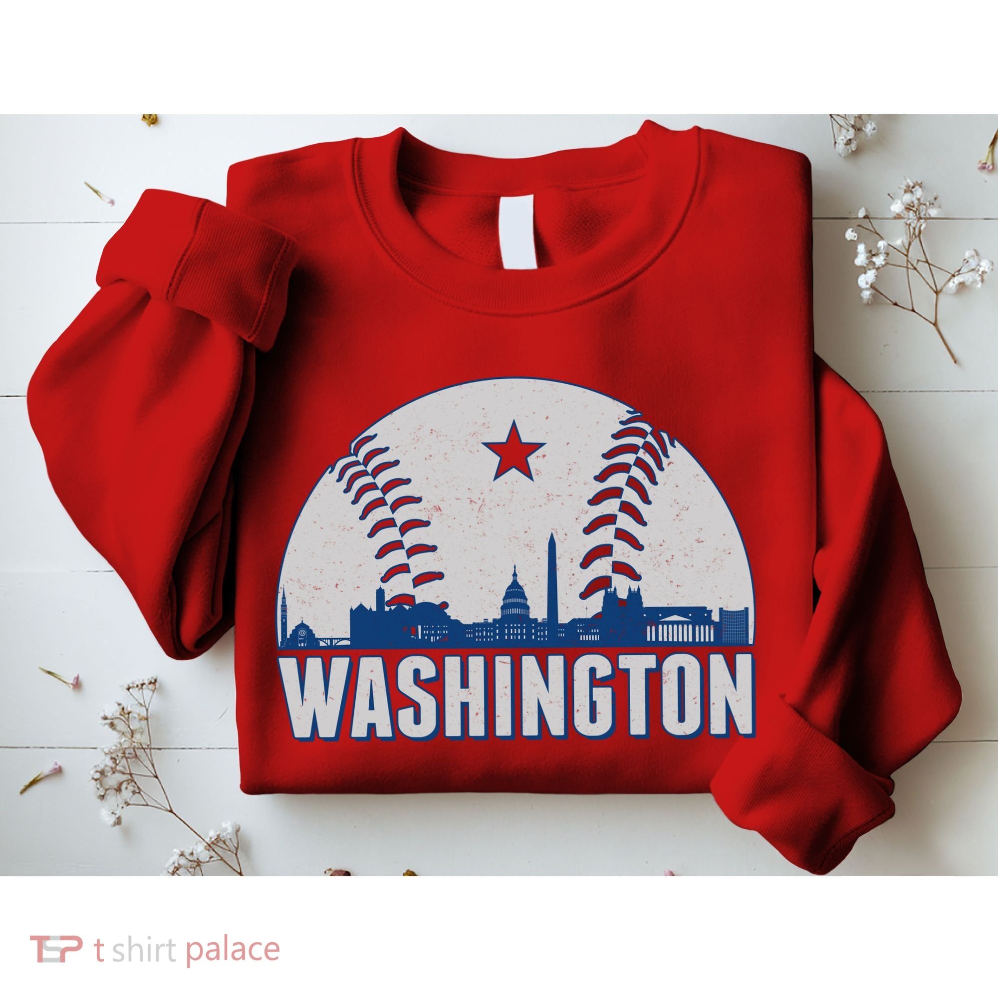 Washington DC Baseball Skyline Sweatshirt