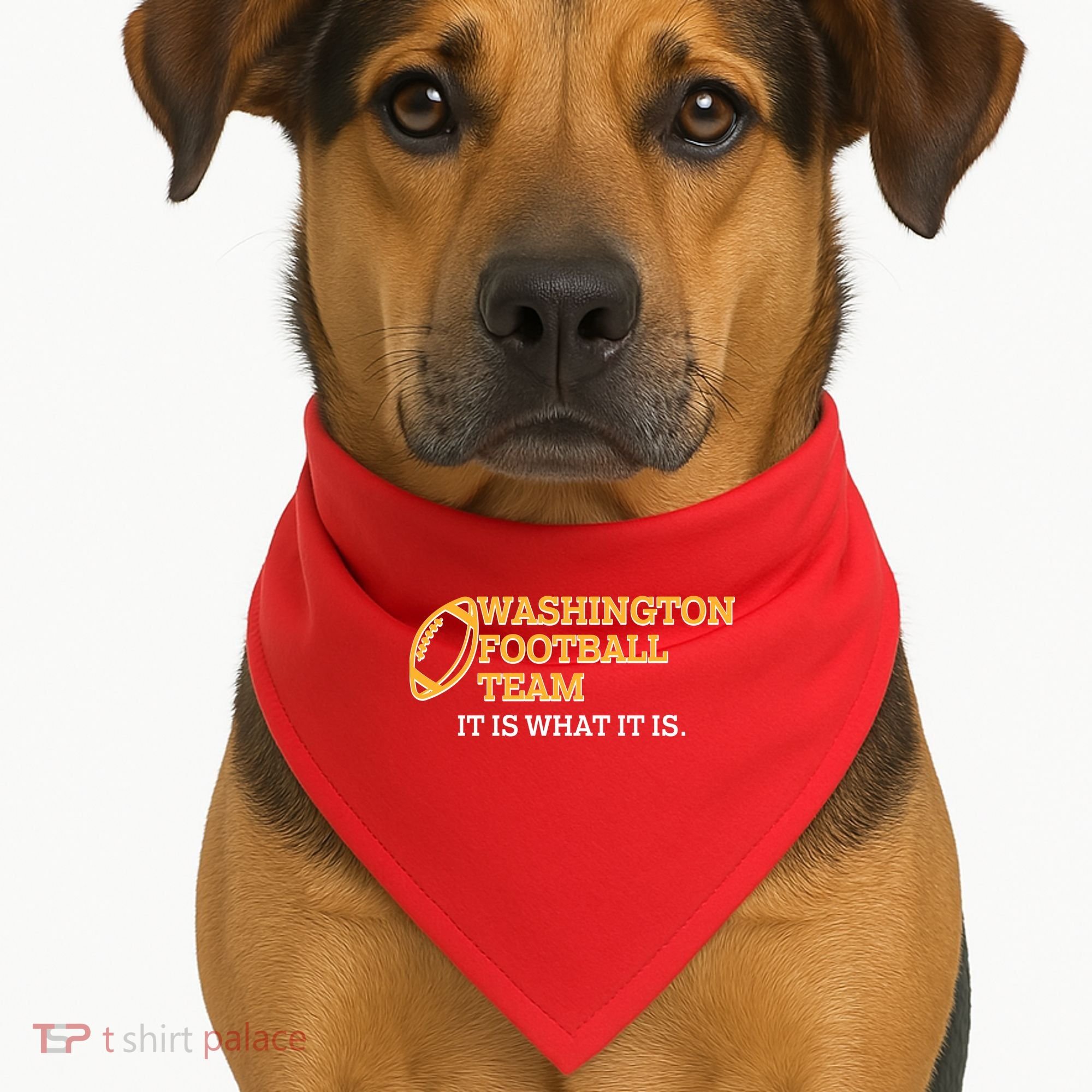 Washington Football Team It Is What It Is USA-Made Doggie Bandana