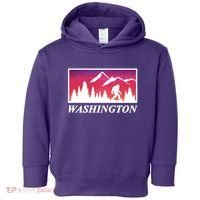 Washington Pacific Northwest Big Foot Toddler Hoodie thumb 0