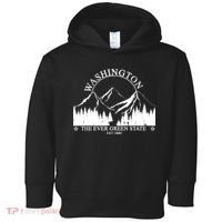 Washington The Ever Green State Toddler Hoodie thumb 0