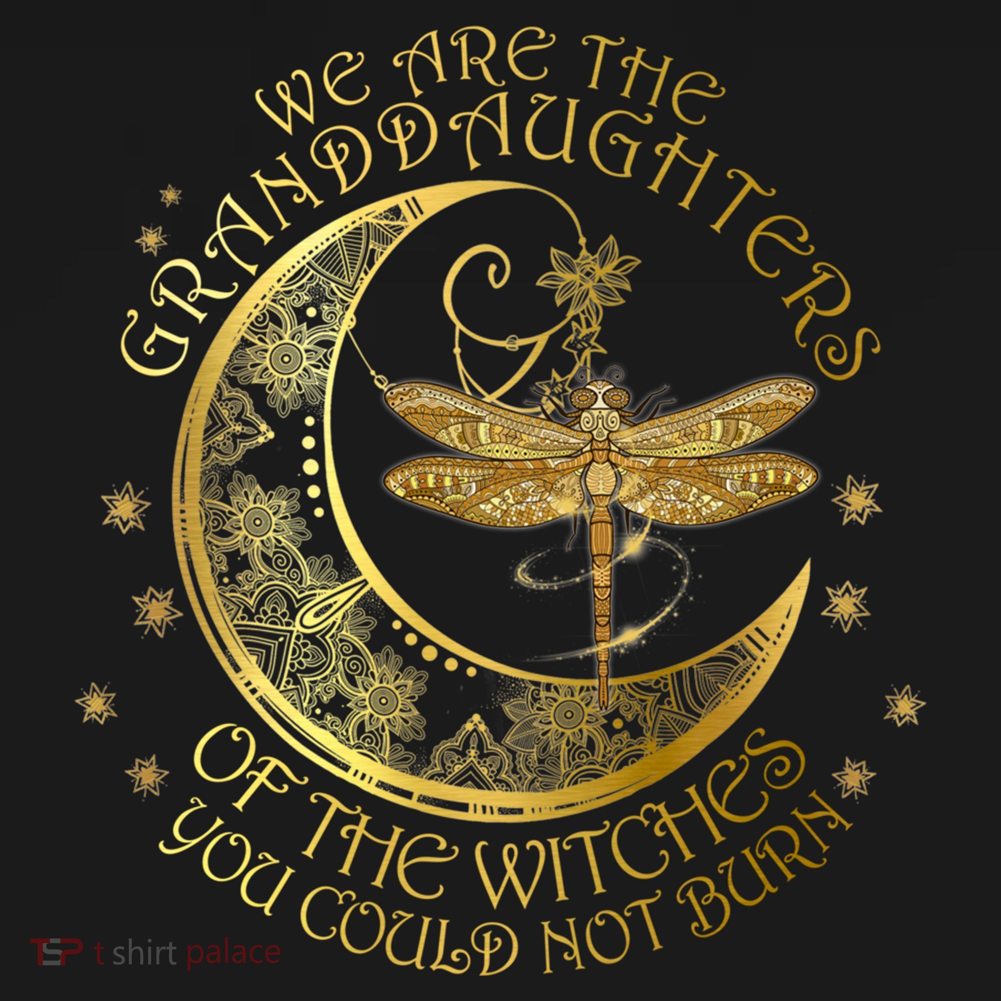 We Are The Granddaughters Of The Witches You Could Not Burn Funny Gift Women's Hoodie