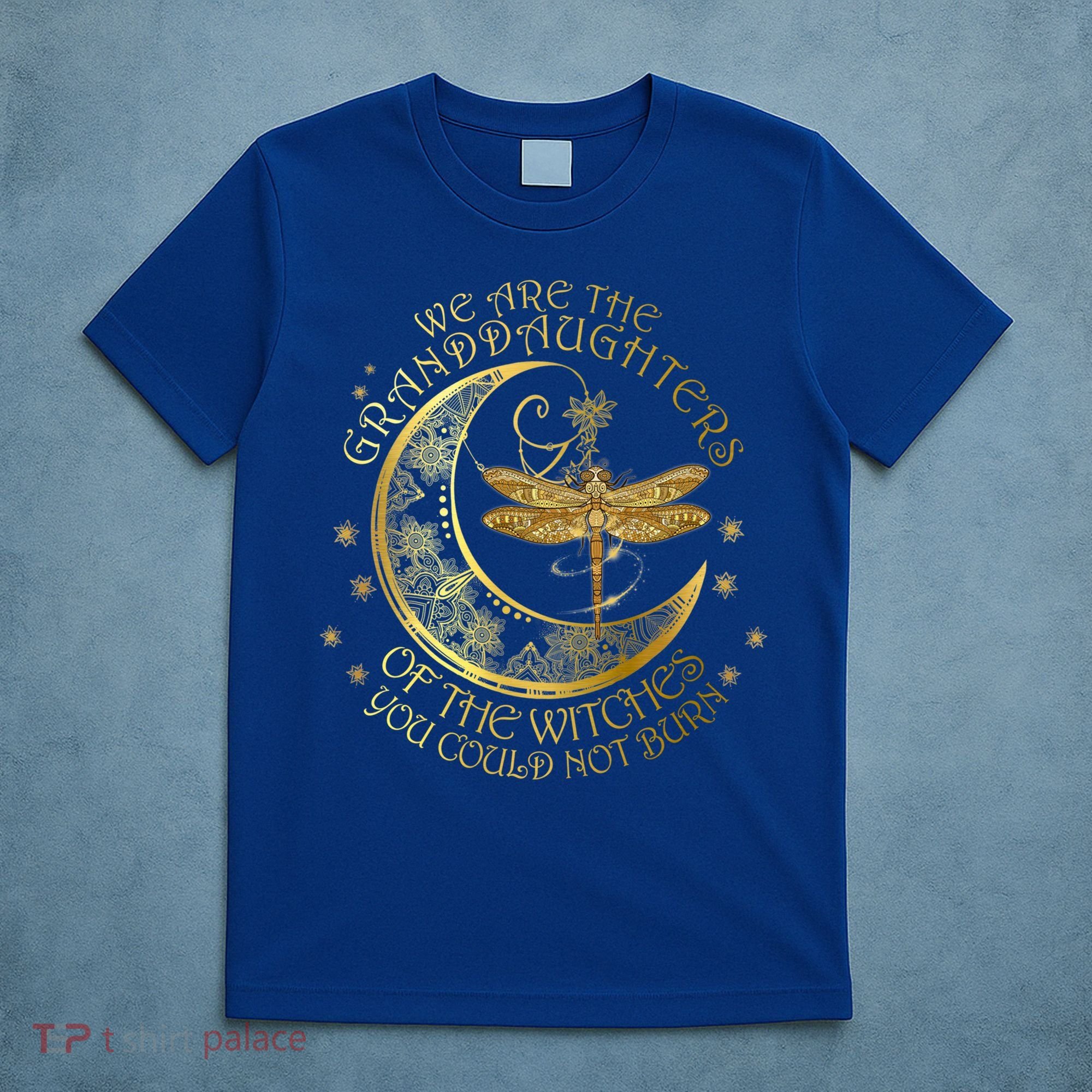We Are The Granddaughters Of The Witches You Could Not Burn Funny Gift T-Shirt