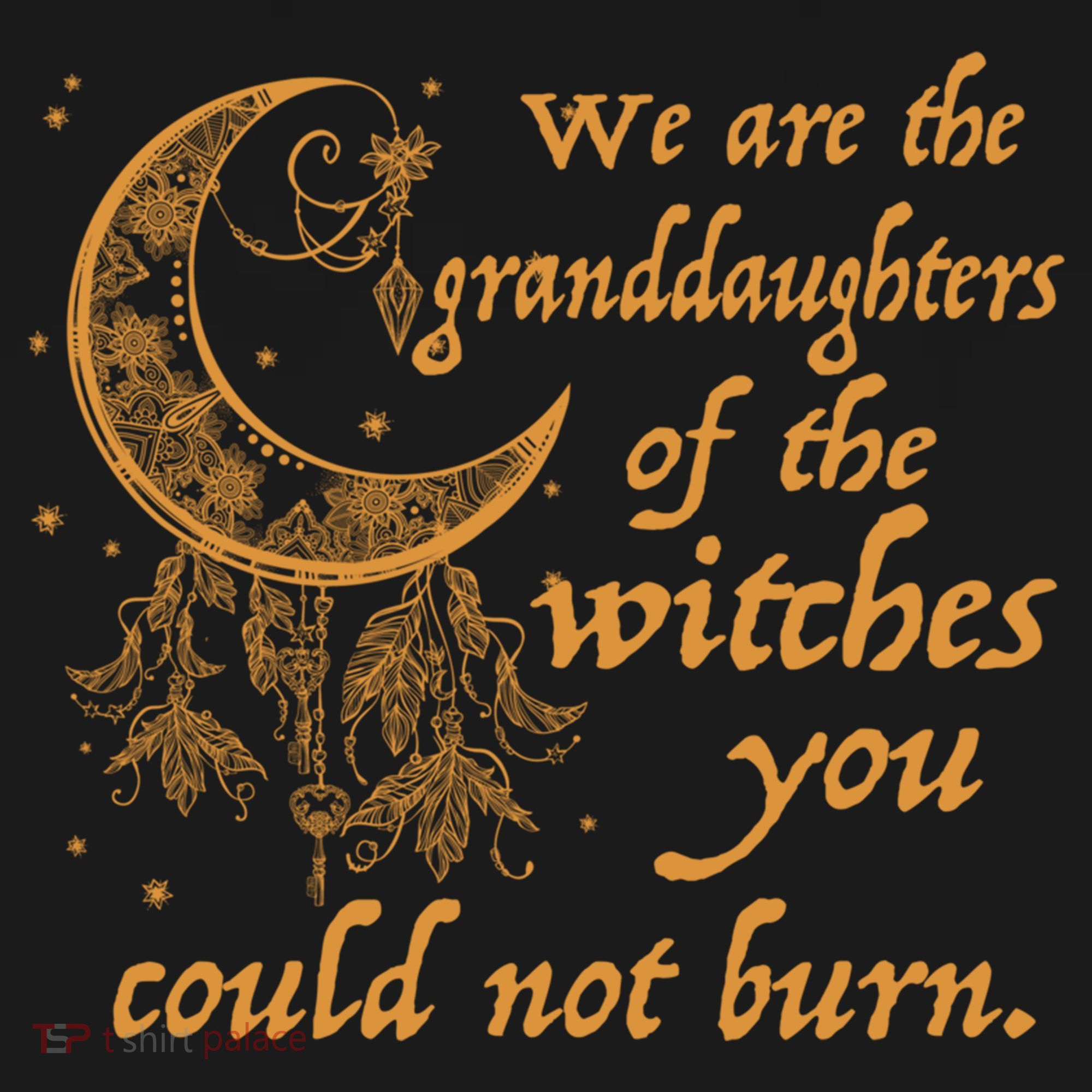 We Are The Granddaughters Of The Witches You Couldn't Burn Gift Women's Hoodie