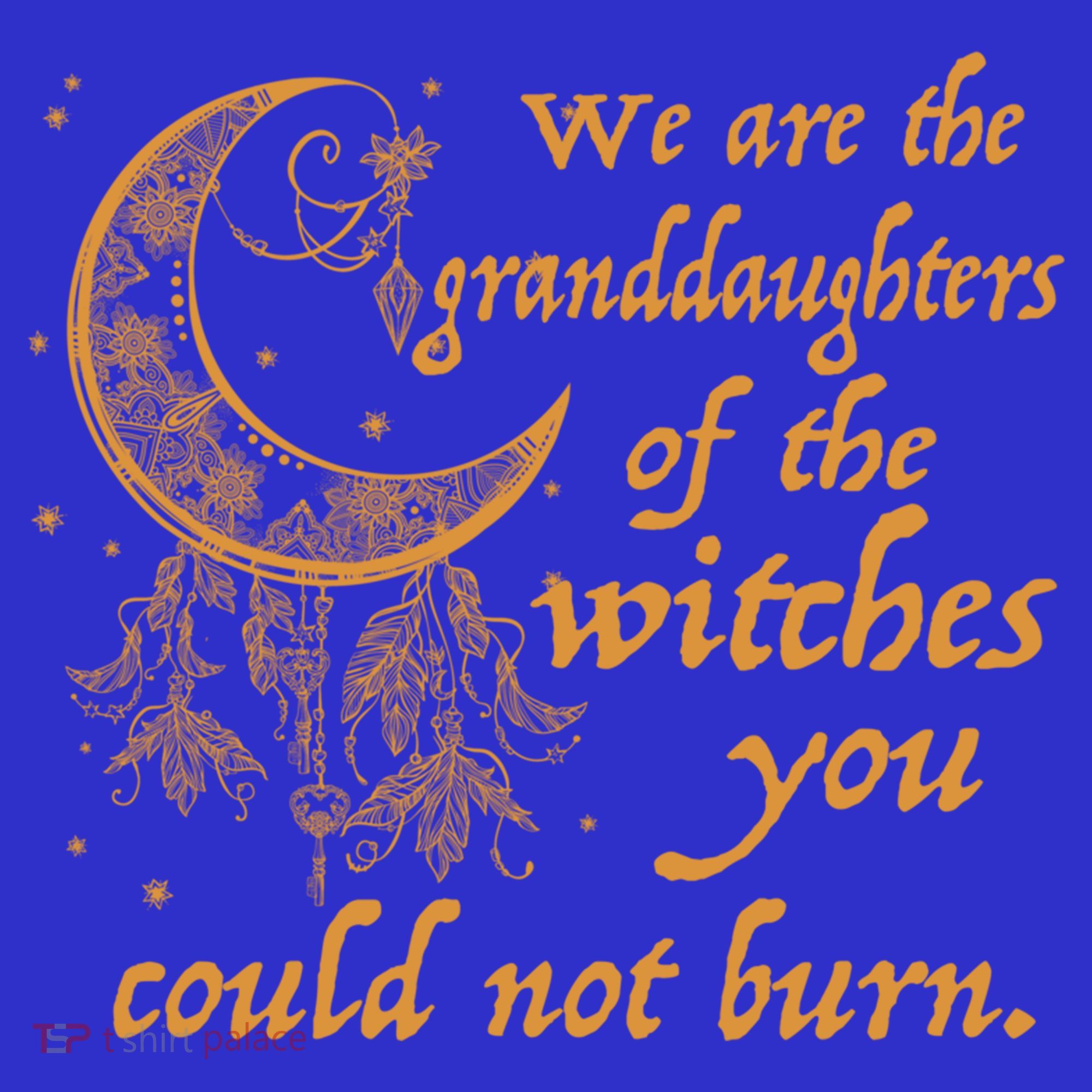 We Are The Granddaughters Of The Witches You Couldn't Burn Gift T-Shirt