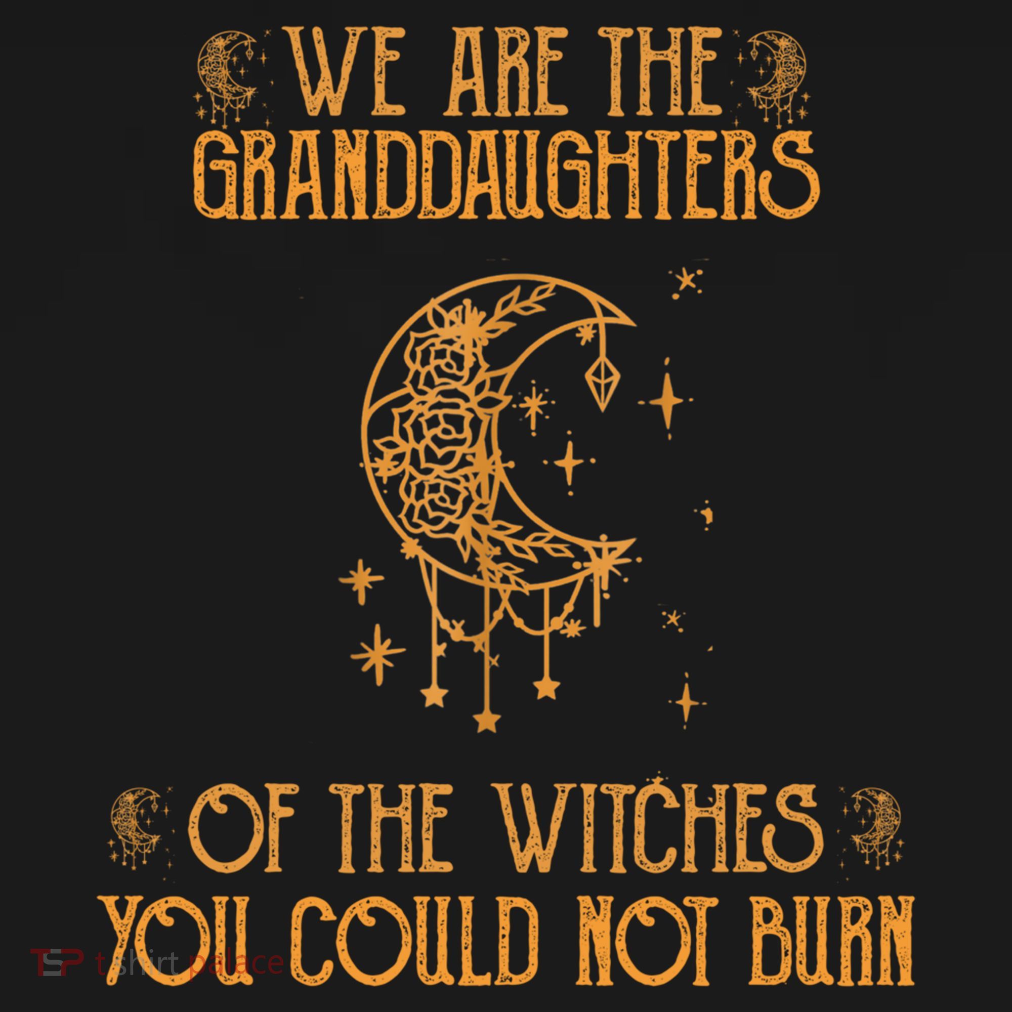 We Are The Granddaughters Of The Witches You Could Not Burn Gift Women's Hoodie