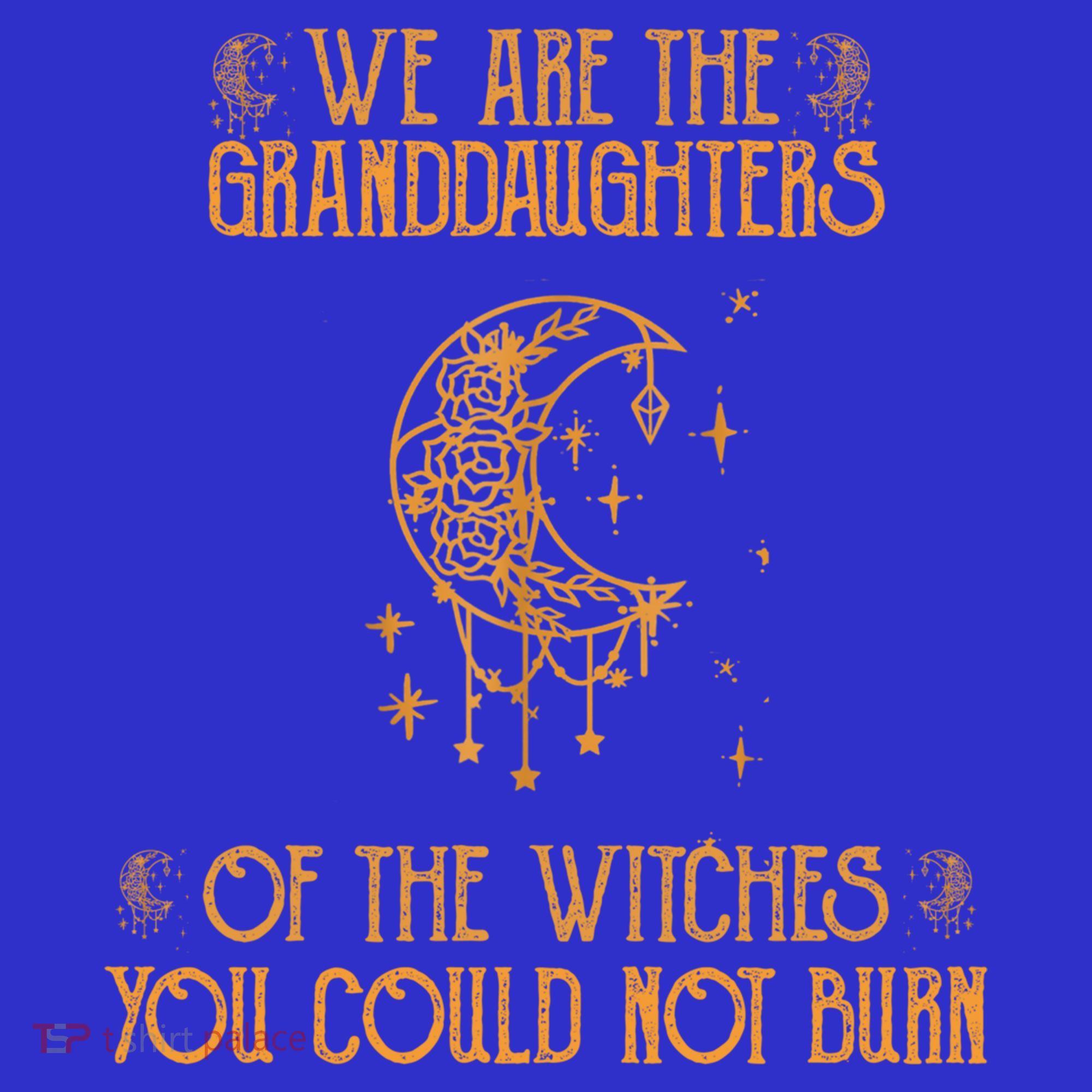 We Are The Granddaughters Of The Witches You Could Not Burn Gift Women's Tank Top