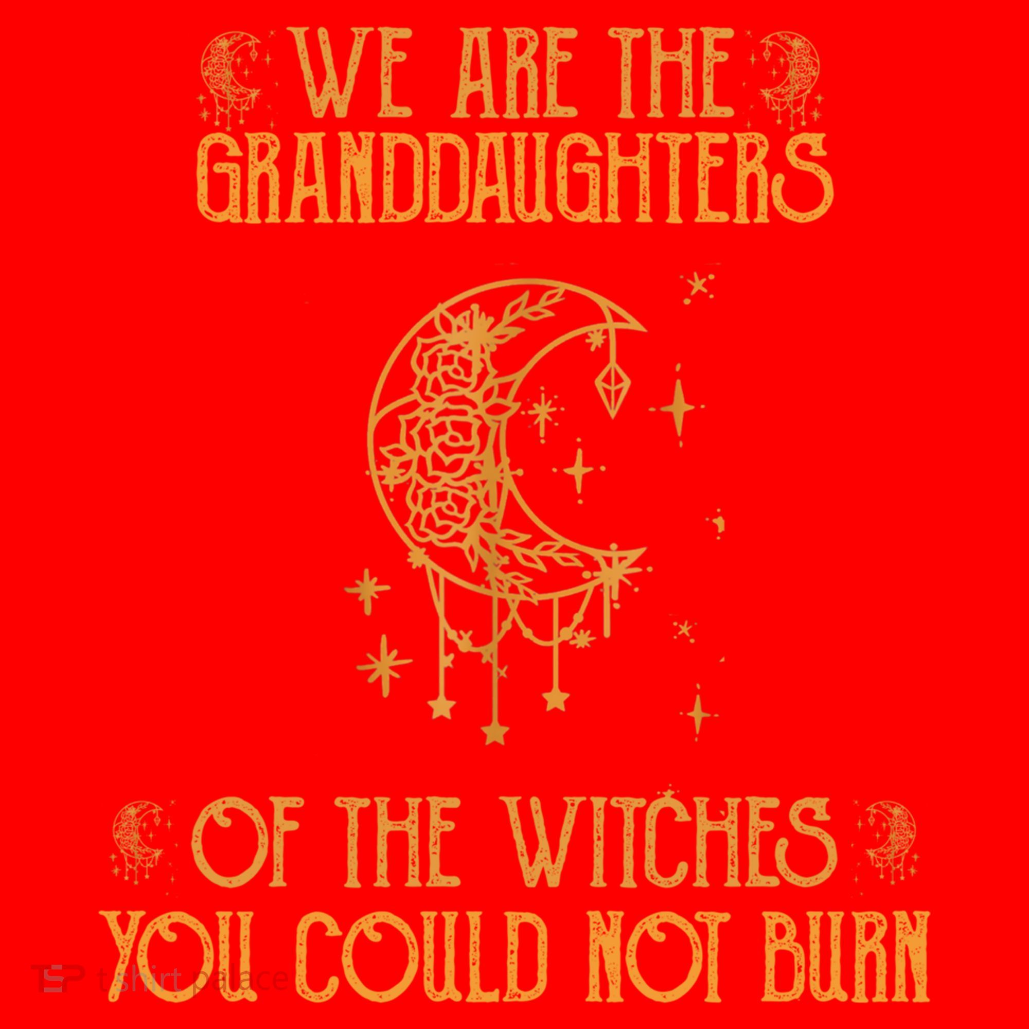 We Are The Granddaughters Of The Witches You Could Not Burn Gift Santa Hat