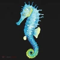 Watercolor Seahorse Women's T-Shirt thumb 6