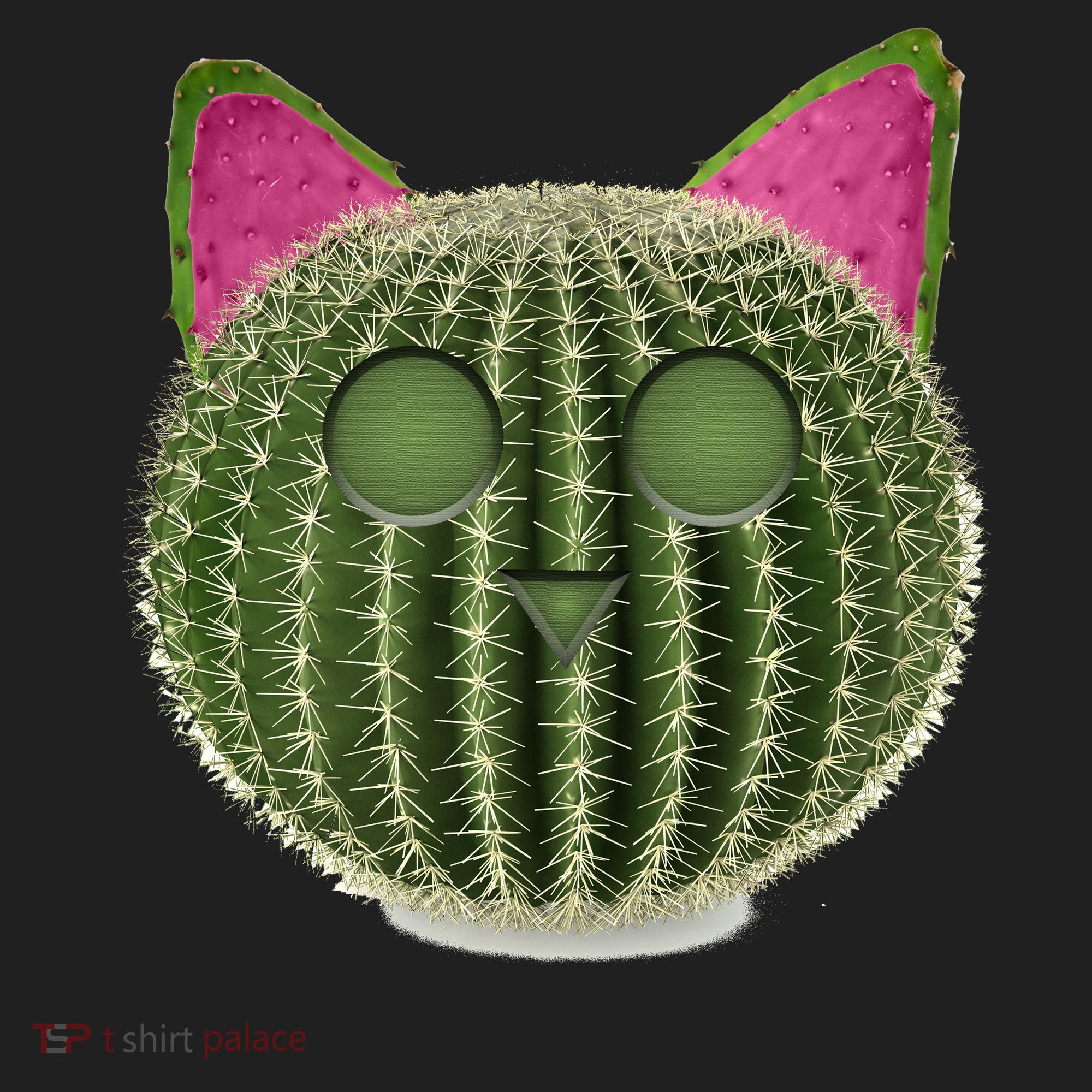 Watermelon Cactus Cat Catcus Hat