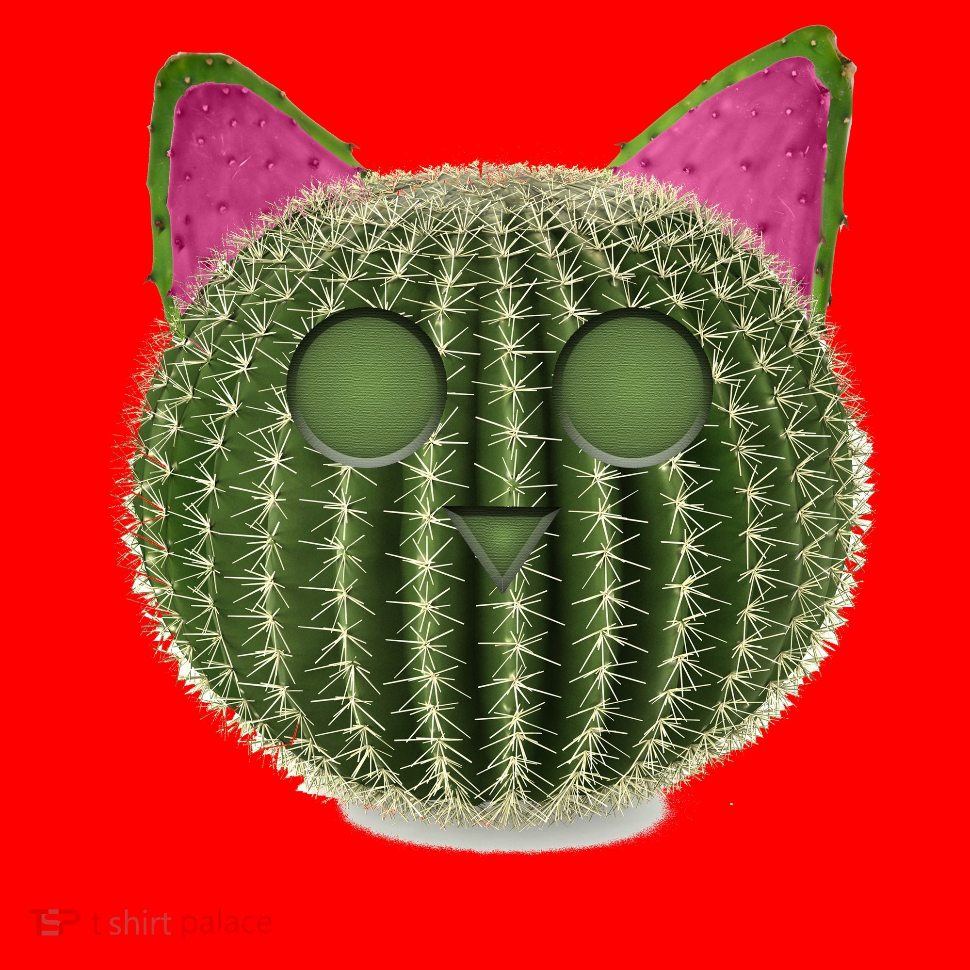 Watermelon Cactus Cat Catcus Santa Hat