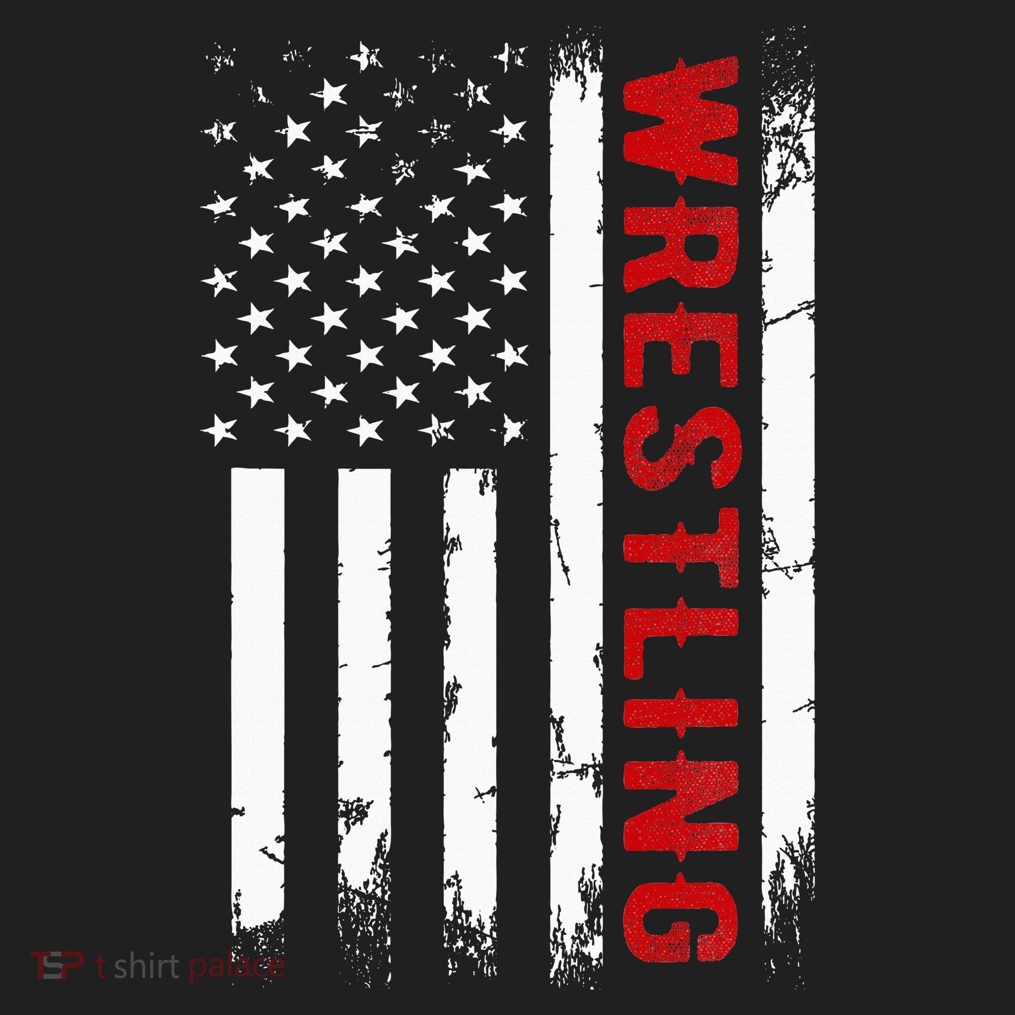 Wrestling American Usa Flag Beanie