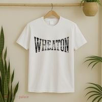 Wheaton Arch Vintage College Athletic Sports T-Shirt thumb 2