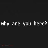Why Are You Here Funny Typography Long Sleeve Shirt thumb 2