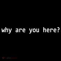 Why Are You Here Funny Typography Coaster thumb 2